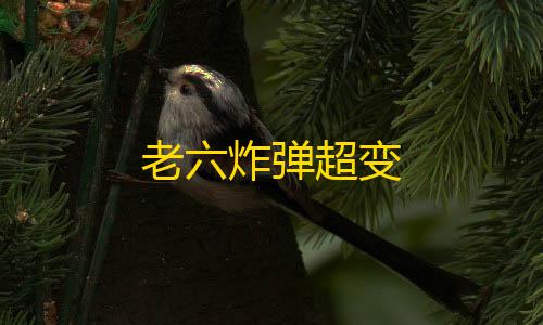 穿越火线透视辅助器老六炸弹超变